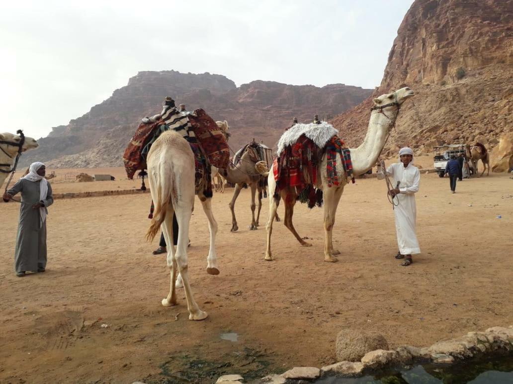 Wadi Rum Bedouin Time Exterior foto